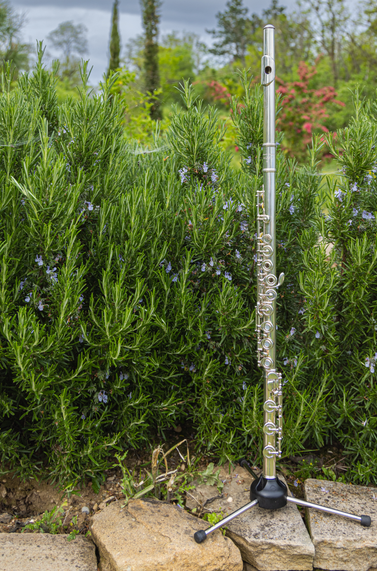 Bild einer Querflöte